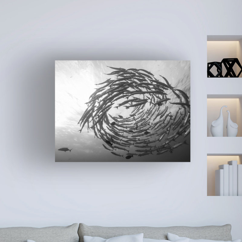 Barracuda Tornado par Yumian Deng - reproduction de photo sur toile tendue, H 14 po x l 19 po x p 2 po