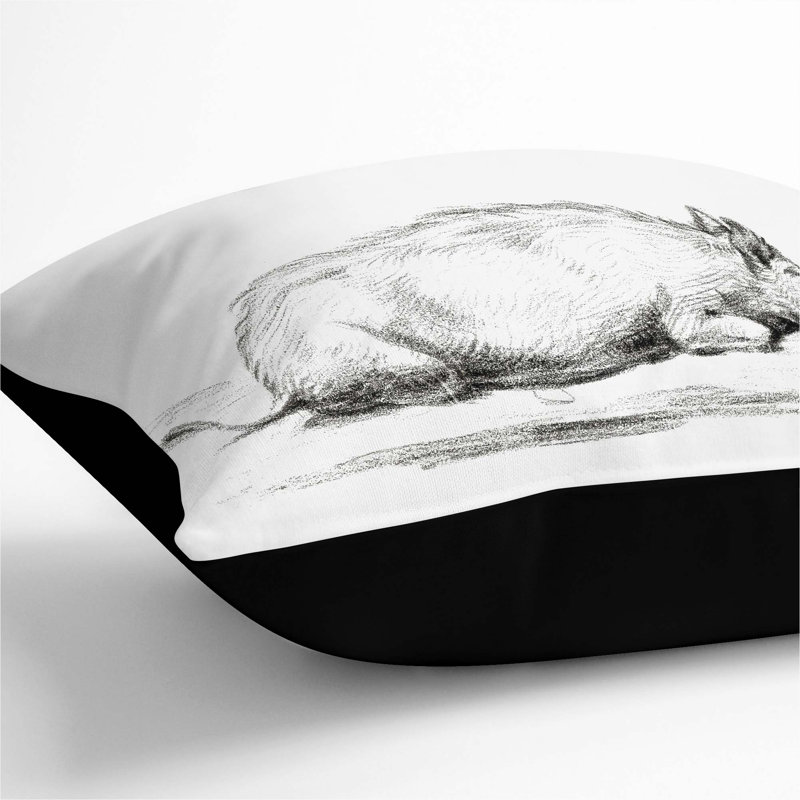 Square Throw Cushion, 55cm H x 55cm W x 20cm D, Black