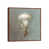 Classic Brown Wood Framed