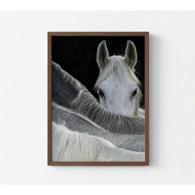 Reproduction de photo de cheval - force tranquille, décor moderne