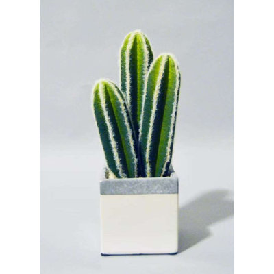 Pot à cactus en polyuréthane, 30 cm