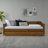 Anayelli Solid Wood Classic Daybed with Trundle-1531215804