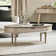 Sievers Coffee Table with Storage