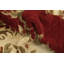 Tapis indien de style victorien à motif floral rouge 6 x 8