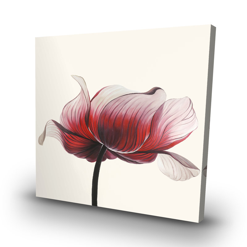 Anemone flower - 32"x32" art on canvas
