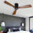 Aliya-Grace 52'' 3 - Blade Smart Propeller Ceiling Fan with Remote