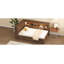 Lit de jour en bois avec tablettes de rangement, USB, DEL et lit gigogne-183650914