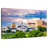 Richmond Virginia Cloudscape-844808661