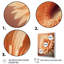 «Orange Gerbera Flower I», reproduction sur toile-86828746-86828747