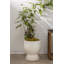 Goodlow Handmade Ceramic Pot Planter-166255279