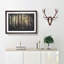 Pine Tree Forest In Spring - Single Picture Frame Print on MDF-56704689-56704688