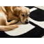 Tapis blanc Manzelli Modern Art Deco-1409680932