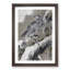 Eagle Holding a Small Bird by Kawanabe Kyosai - Picture Frame Painting Print-55547411-55547414