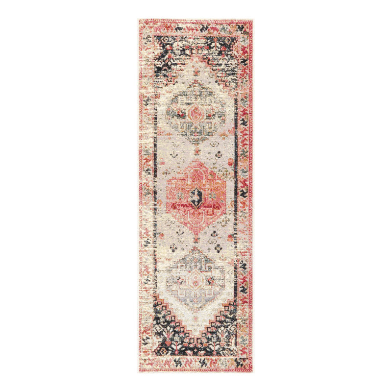 Outdoor Traditional Rectangle 5'1" X 8' Area Rug, Runner 2'7" x 10'
