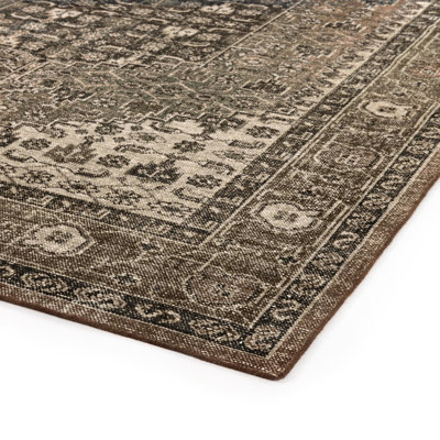 Prato Hand Knotted Area Rug in Brown