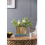 Petit vase 9,7 x 3,7 x 6,9 po Alu Timber Wavy Rect
