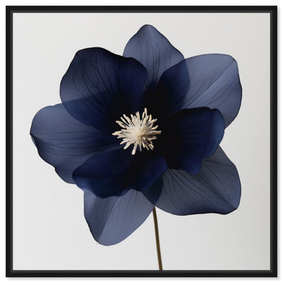 Night Dal II Canvas Blue Floral Art by 