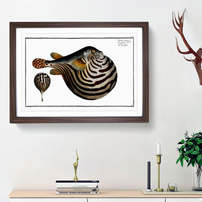 Striped Pufferfish by M.E. Bloch - Framed Print
