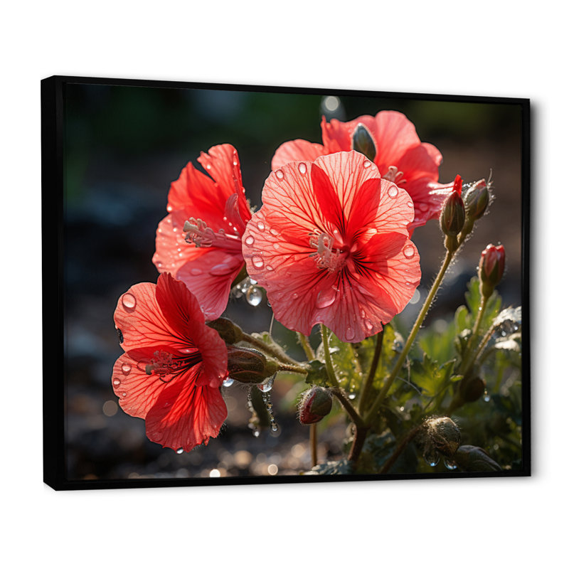 Corail géraniums - impression, H 16 po x l 32 po x P 1 po, Cadre flottant noir