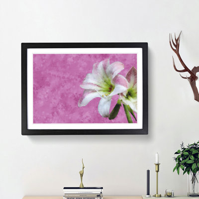 Pink and White Amaryllis Flower - Picture Frame Painting Print