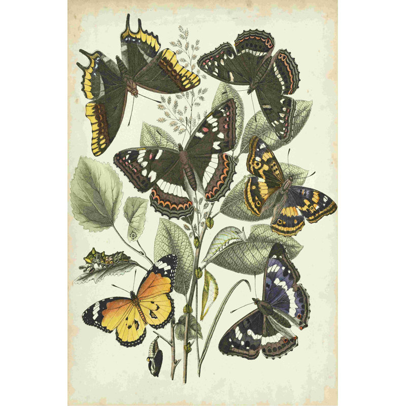 Havre à papillons non embelli II, H 18 po x l 12 po x P 1,25 po