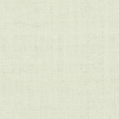 Delhi Fabric