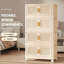 4 Tier Foldable Storage Bins Box with Wheels