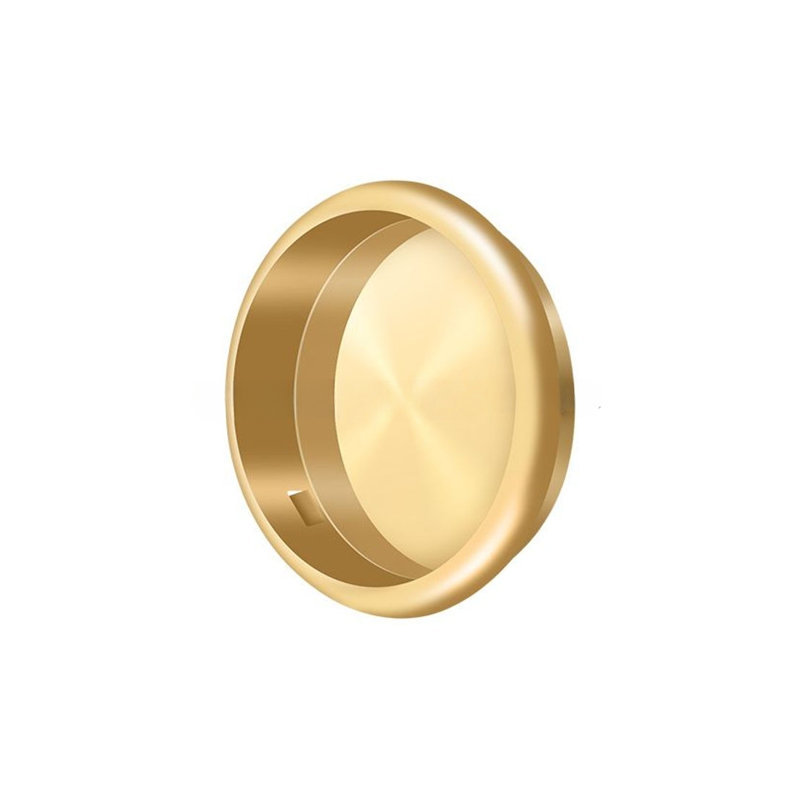 Brass Push/Pull Plate, PVD Polished Brass