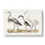 Three Herons by J.E. De Kay - Wrapped Canvas Painting-55358306
