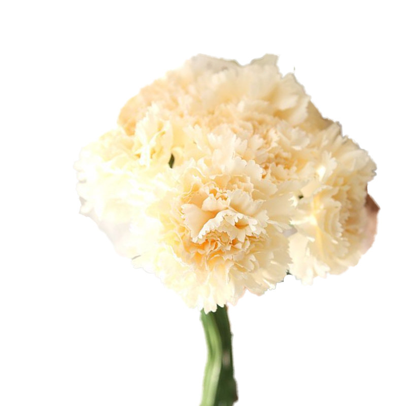 Faux Silk Carnation Arrangement, Champagne