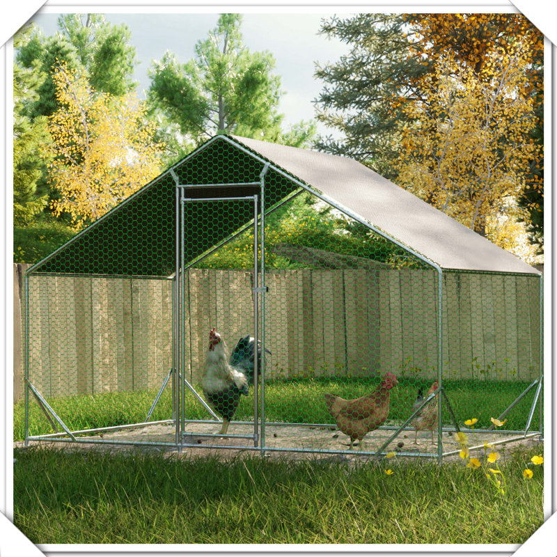 Parcours de poulailler en métal galvanisé avec revêtement anti-ultraviolet imperméable, H 79 po x l 79,2 po x P 120 po