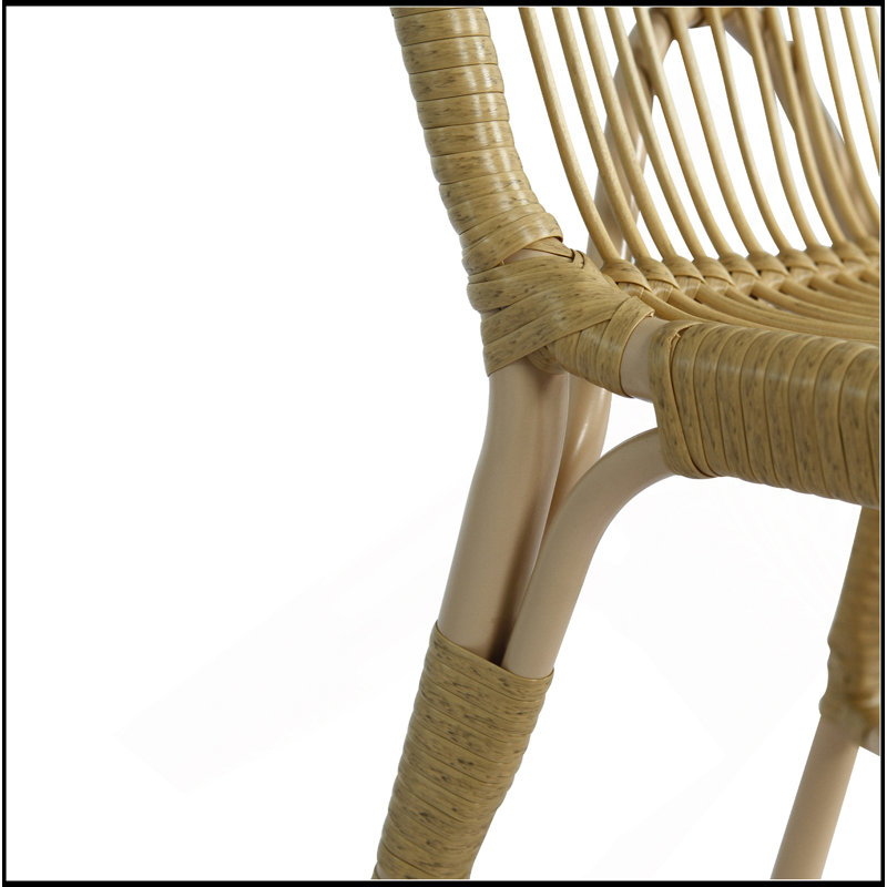 Ensemble de 2 chaises d'extérieur en osier de patio en osier pour terrasse, piscine, jardin, Naturel