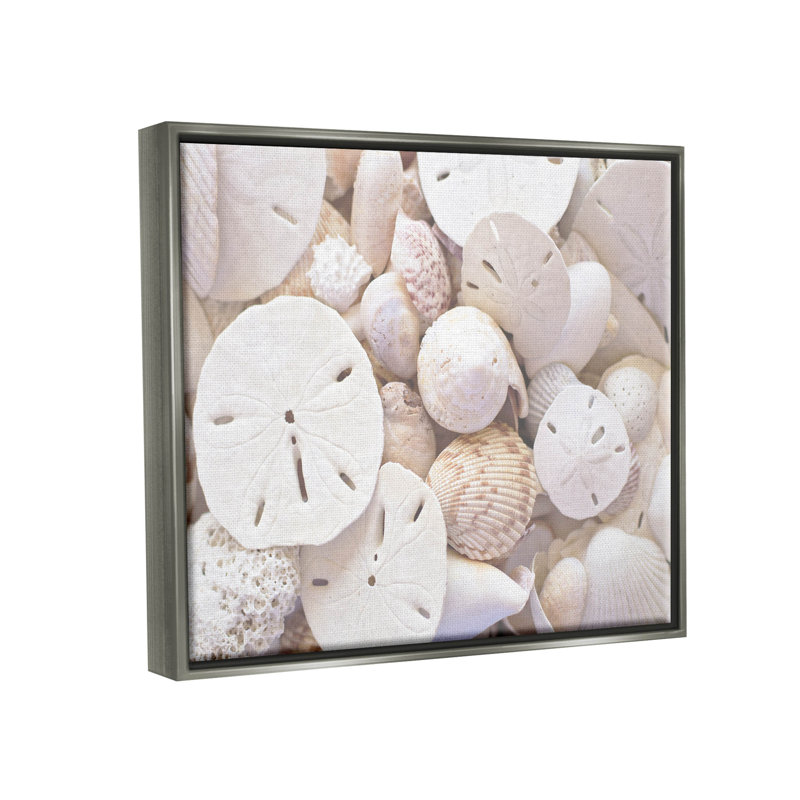 Photographie de cadre blanc flottant avec coquillages blancs, H 17 po x l 21 po x P 1,7 po, Cadre flottant gris lustré