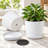 4-Piece White Ceramic Cylinder Planter Set with Saucers