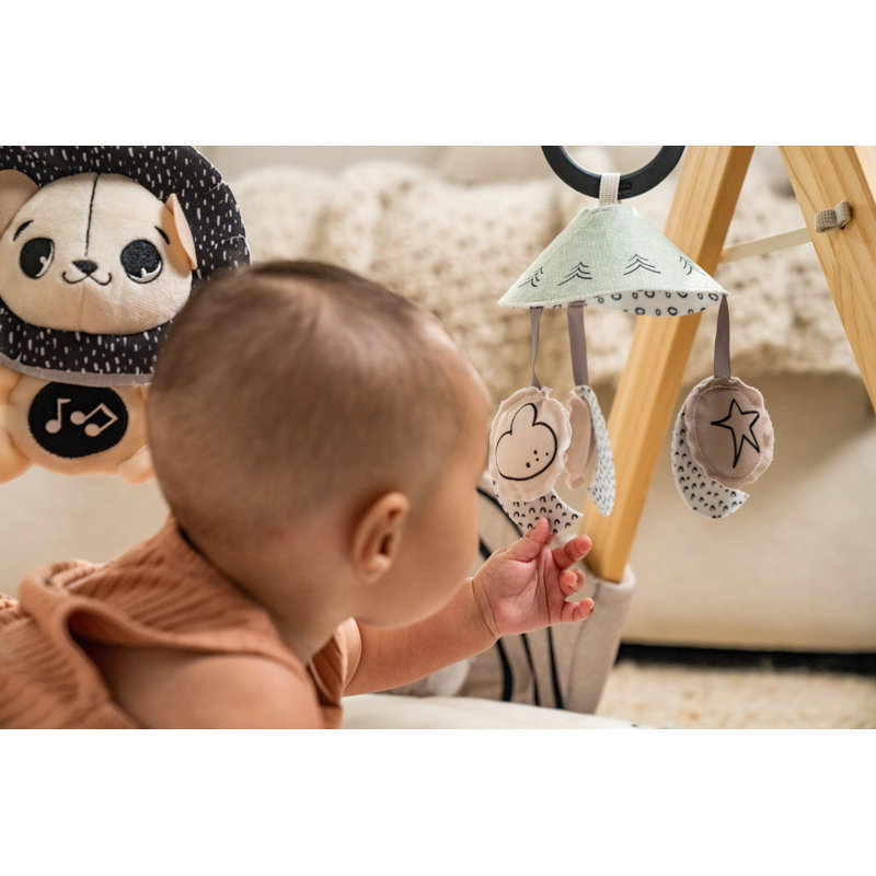 Gymini de développement Tiny Love Luxe