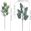 Winlyn 20 pièces de feuilles d'eucalyptus ovales mélangées artificielles en vrac avec des tiges de graines blanches et un vaporisateur pour vase floral