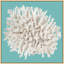 Coral Aqua 2' Framed Photographic Print
