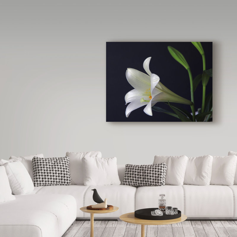 «Lily 1 White» par Garv, reproduction de photo sur toile tendue, H 18 po x l 24 po x P 2 po