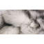 Tapis gris en similifourrure France-1330438829