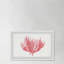 Lone Coral - Single Picture Frame Painting-561903728
