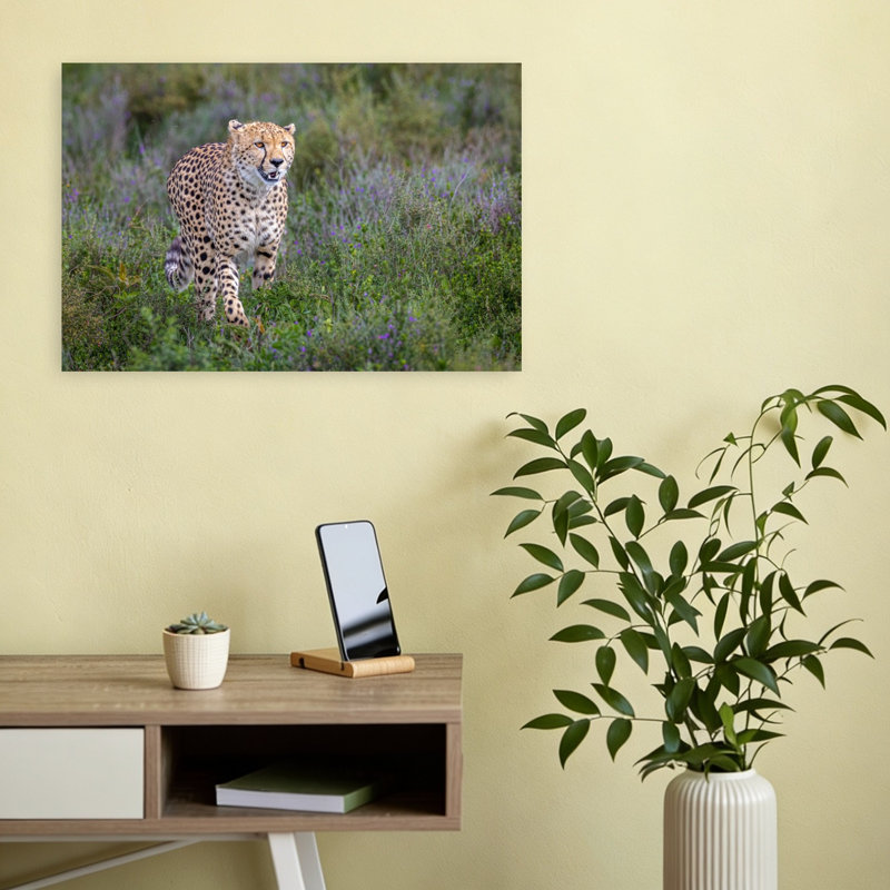 African Cheetah Stride Contemporary Wall Art Print by Jeffrey C. Sink - 1 Piece Wrapped Canvas Wall Art