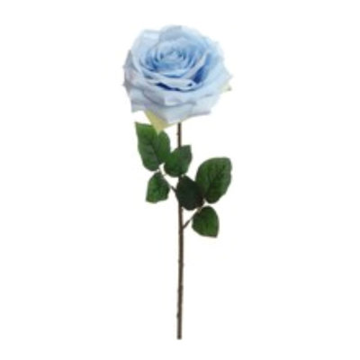 20" Open Rose Stem - 4 Pack