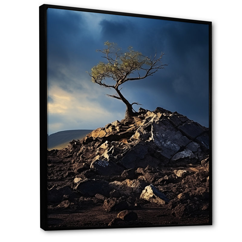 Volcan, volcan, émission I sur toile, Cadre flottant noir, 20" H x 12" W