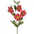 Rose sélectionné