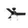 36" Aker 3 - Blade Standard Ceiling Fan with Pull Chain and Light Kit Included