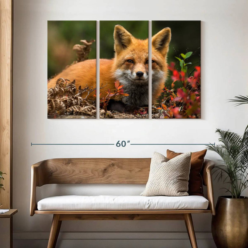 Happy Fox, H 32 po x l 50 po