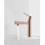 Robinet pour salle de bain à poignée simple deux-en-un Fountain and Flow-120650299