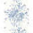Delphinium