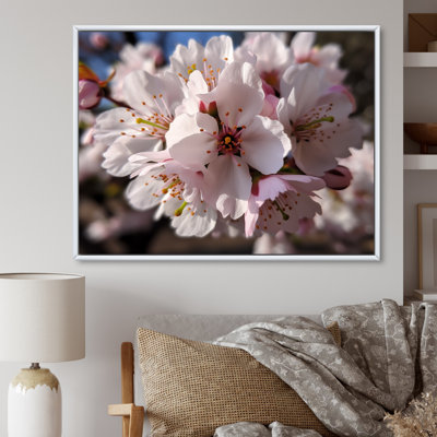 «Blossoming Cherry Flowers In Spring I», reproduction sur toile