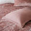 Housse de couette en velours rosé pour lit simple / simple TG avec housse de coussin décorative brodée-128674516-128674521
